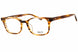 Salt LIVNST47 Eyeglasses
