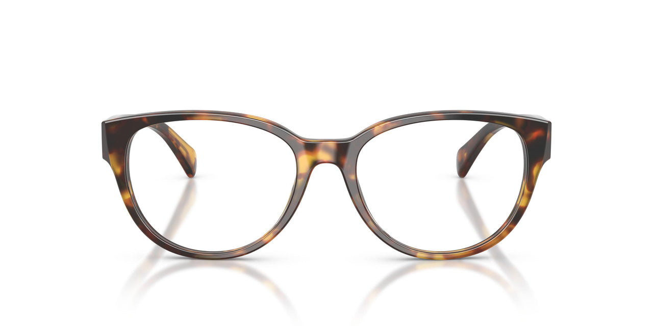 5134 - Tortoise