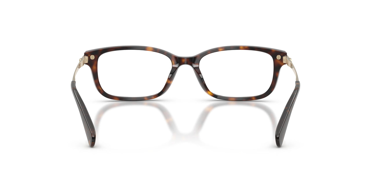 5120 - Tortoise