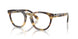6301 - Tortoise