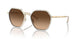 944374 - Brown Gradient