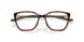 801302 - Tortoise