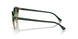 1157 - Spotted Black Havana - Green