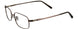 10 - Shiny Dark Copper Brown