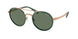 Polo 3150 Sunglasses