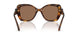 100273 - Tortoise - Dark Brown
