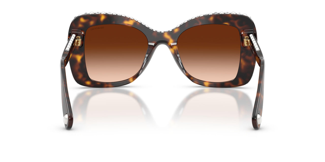 109474 - Tortoise - Gradient Brown