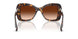 109474 - Tortoise - Gradient Brown