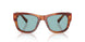 322180 - Tortoise - Blue