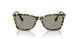 1009/2 - Tortoise - Dark Green