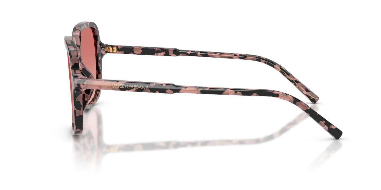 3476A5 - Tortoise - Pink Gradient Red