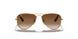 223/13 - Gold - Brown Gradient
