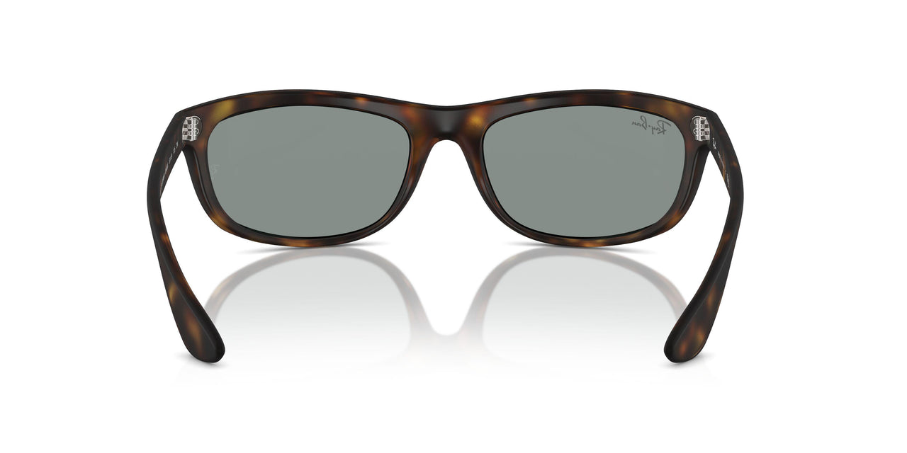 894/56 - Tortoise - Blue