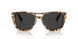 105648 - Tortoise - Polar Black
