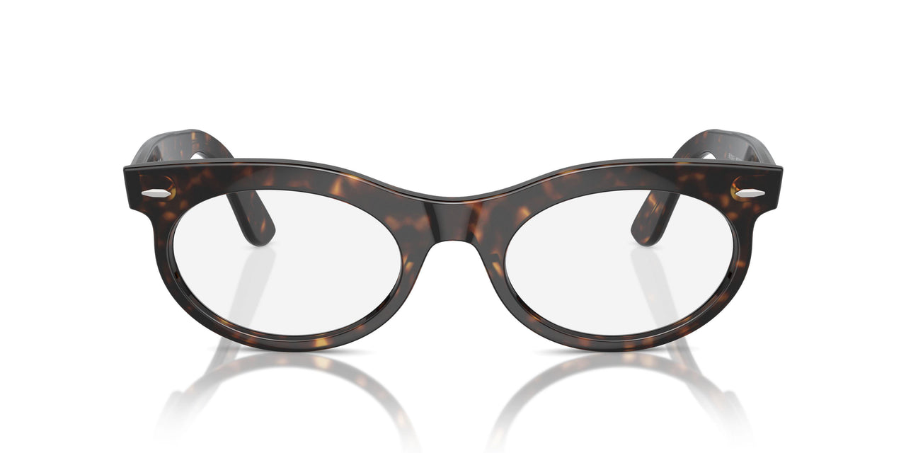 902/GI - Tortoise - Clear/brown