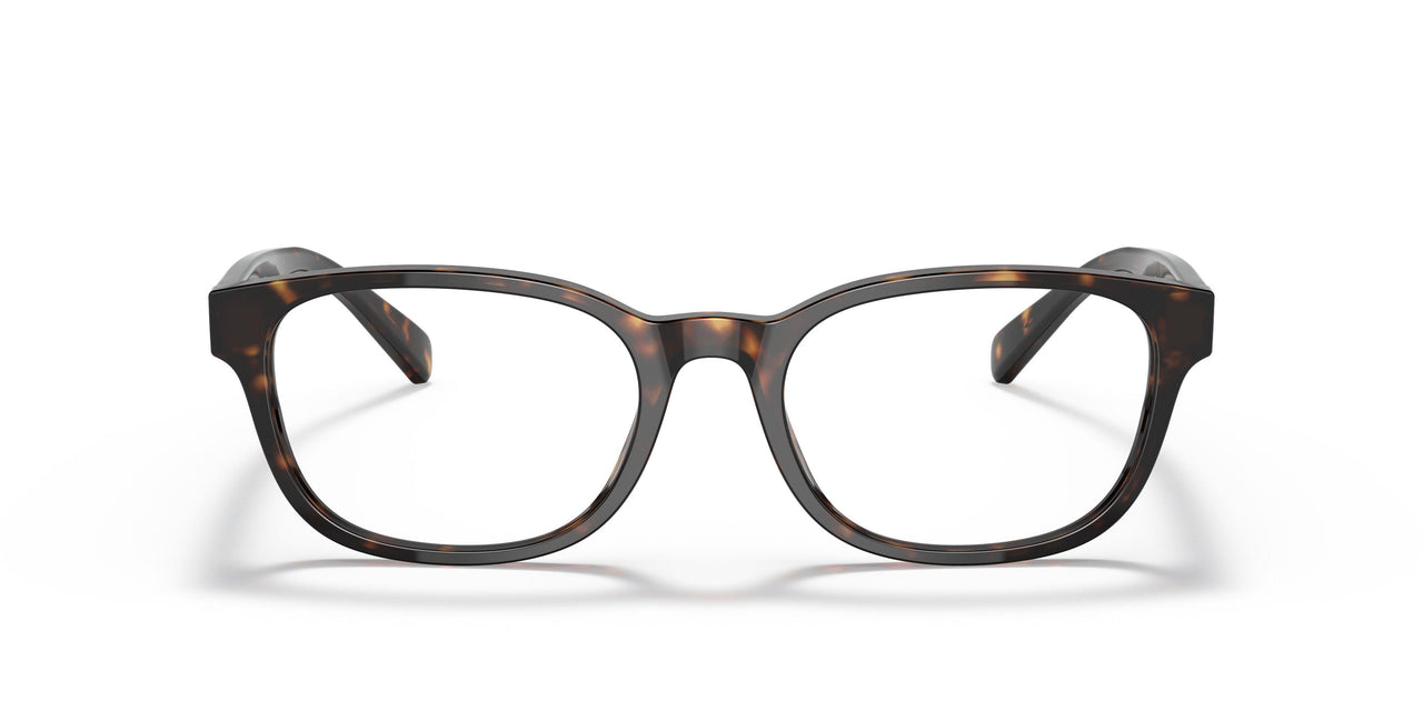 5003 - Brown