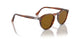 115733 - Multi - Brown