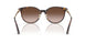 500213 - Tortoise - Gradient Brown