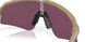 946524 - Brown - Prizm Road Black