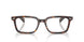 2012 - Tortoise