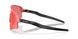 946538 - Pink - Prizm Trail Torch