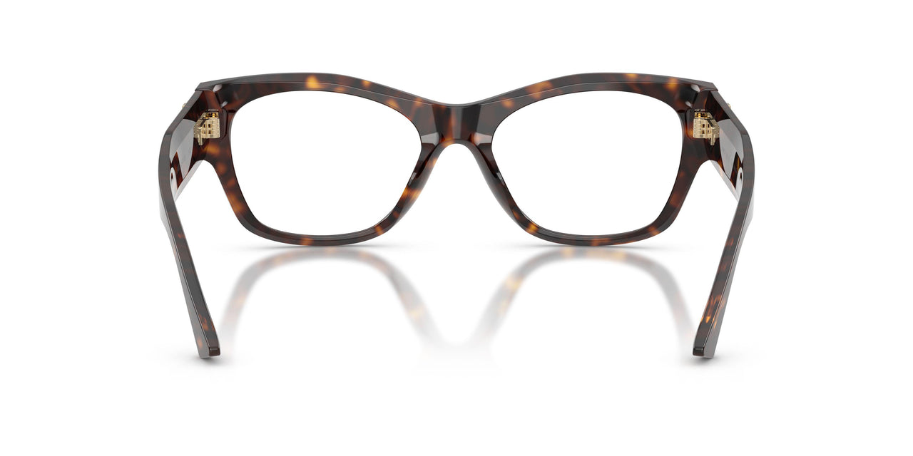 5002 - Tortoise