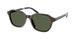 Polo 4234U Sunglasses