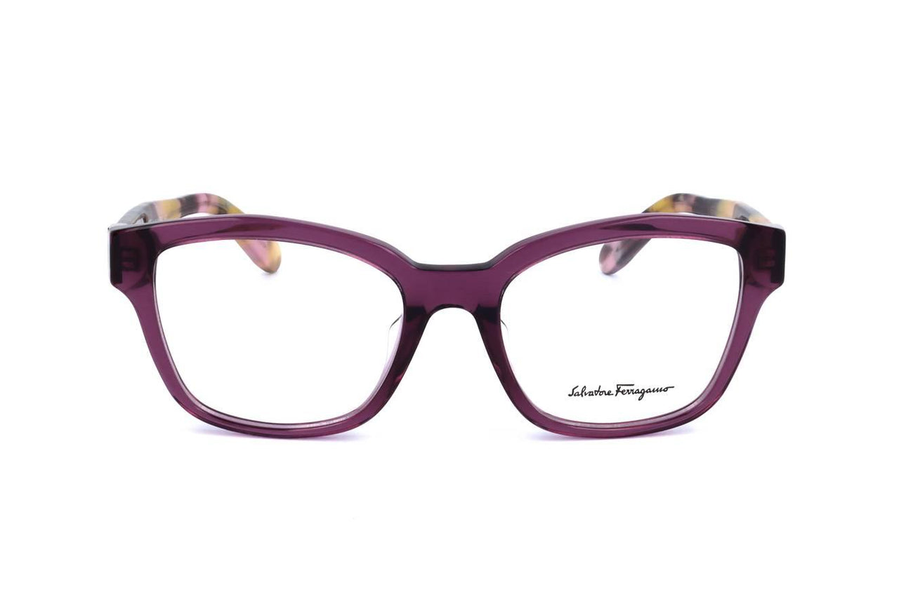 543 - PURPLE/PURPLE HAVANA