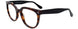 10 - Dark Tortoise / Black