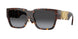 Versace 4483D Sunglasses
