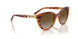 1508T5 - Brown - Grey Gradient Brown Polar
