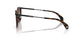 300273 - Tortoise - Solid Brown