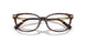 8015 - Tortoise