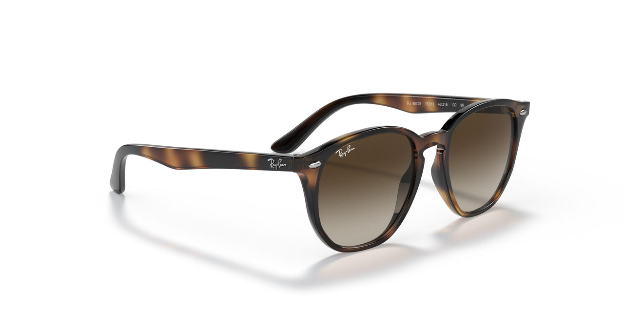 152/13 - Havana - Brown Gradient