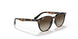 152/13 - Havana - Brown Gradient