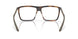 802904 - Tortoise
