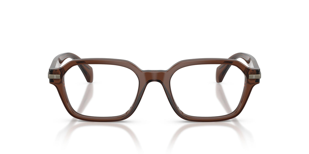 3022 - Brown