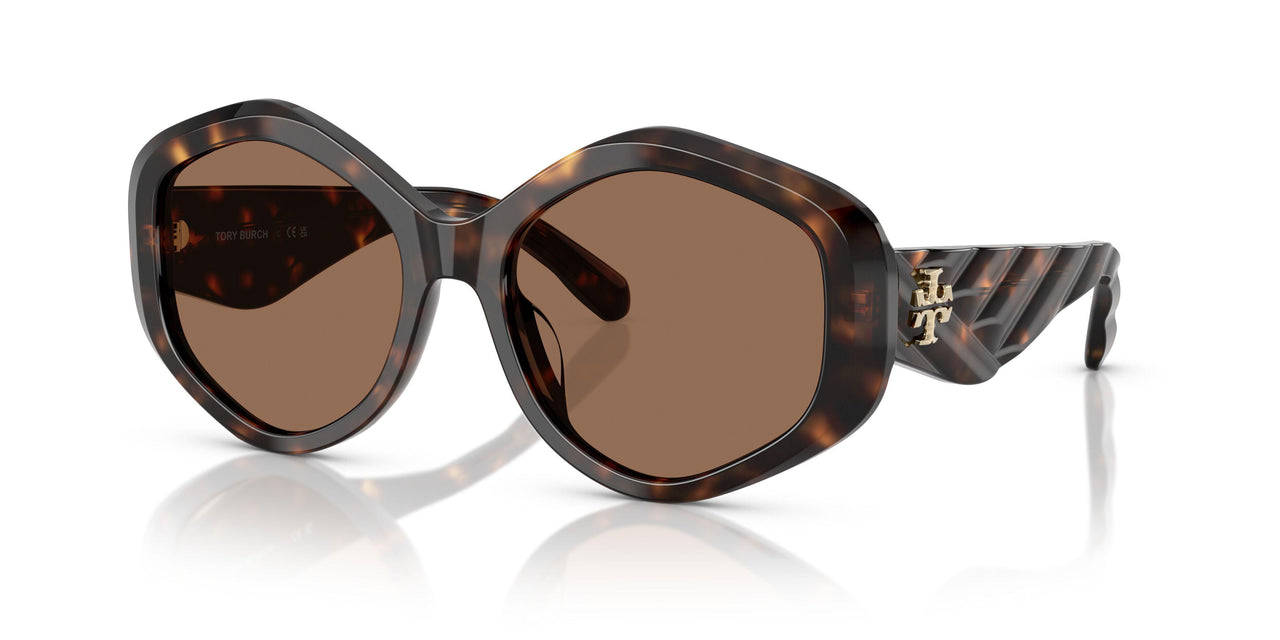 196473 - Tortoise - Brown