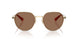 900573 - Gold - Brown Solid