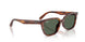 954/71 - Brown - Dark Green