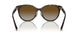 8015T5 - Tortoise - Polar Brown Gradient