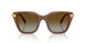 1067T5 - Brown - Gradient Brown Polar