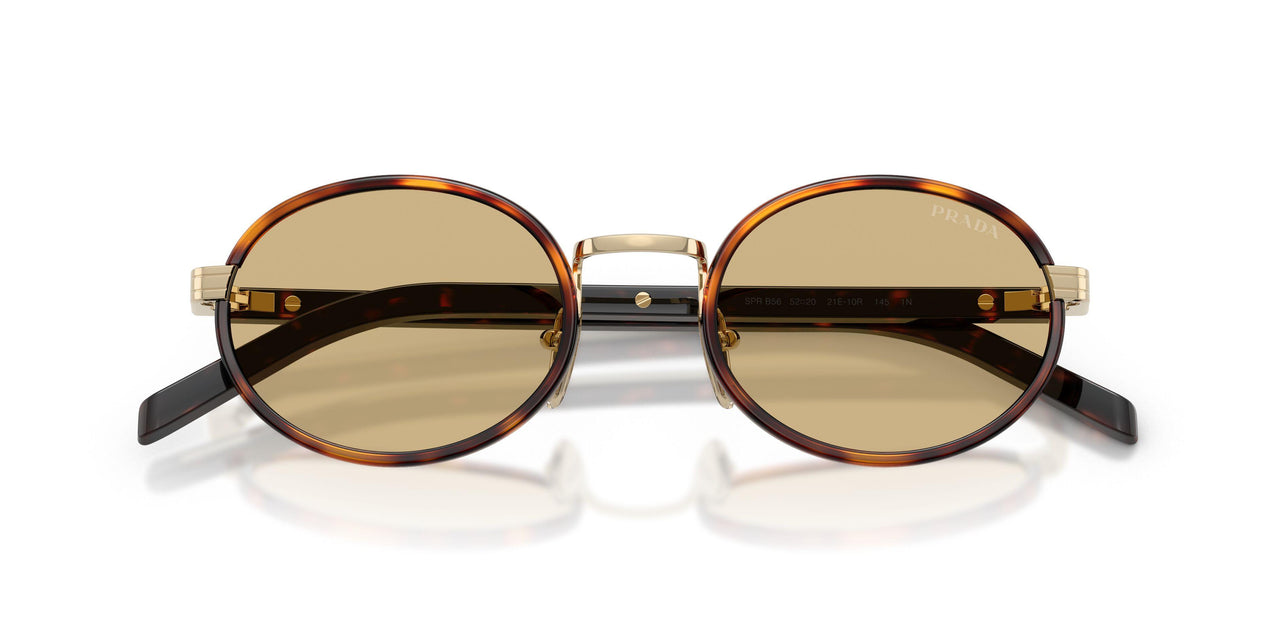 21E10R - Tortoise - Lente Camomilla Bio