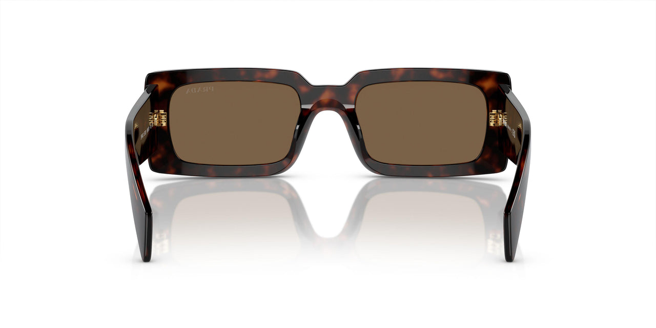 16N5Y1 - Brown - Dark Brown Polarized