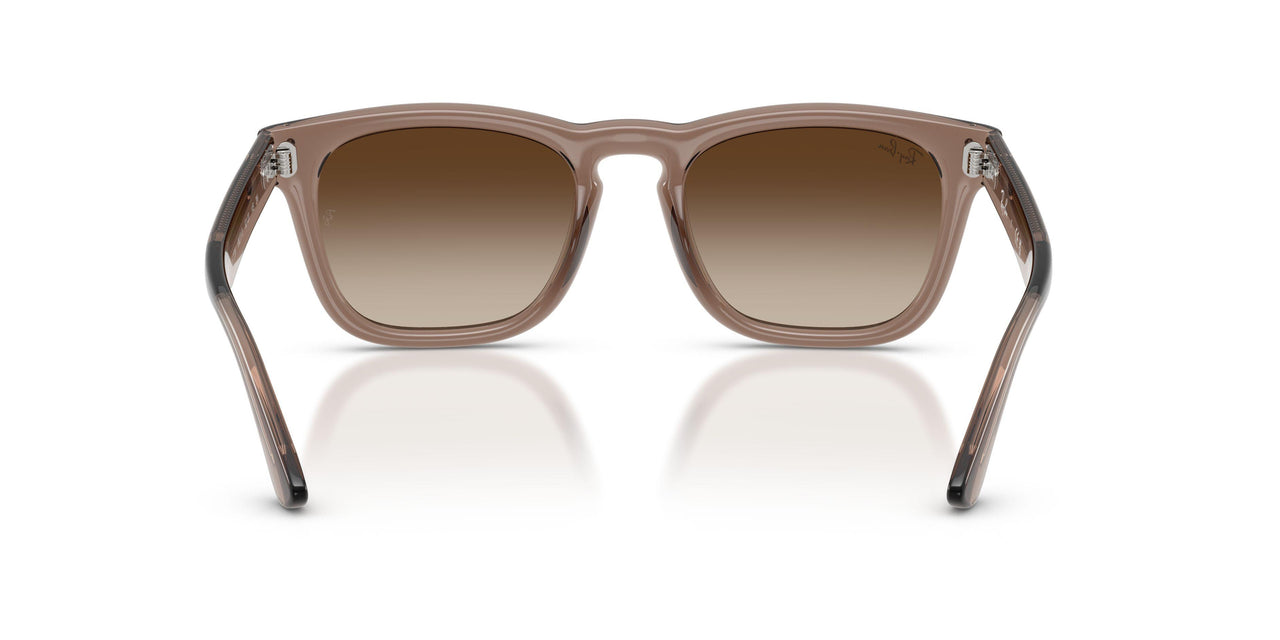 682713 - Brown - Light Brown Gradient Dark Brow