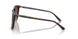 3006T5 - Havana - Brown Gradient Polar