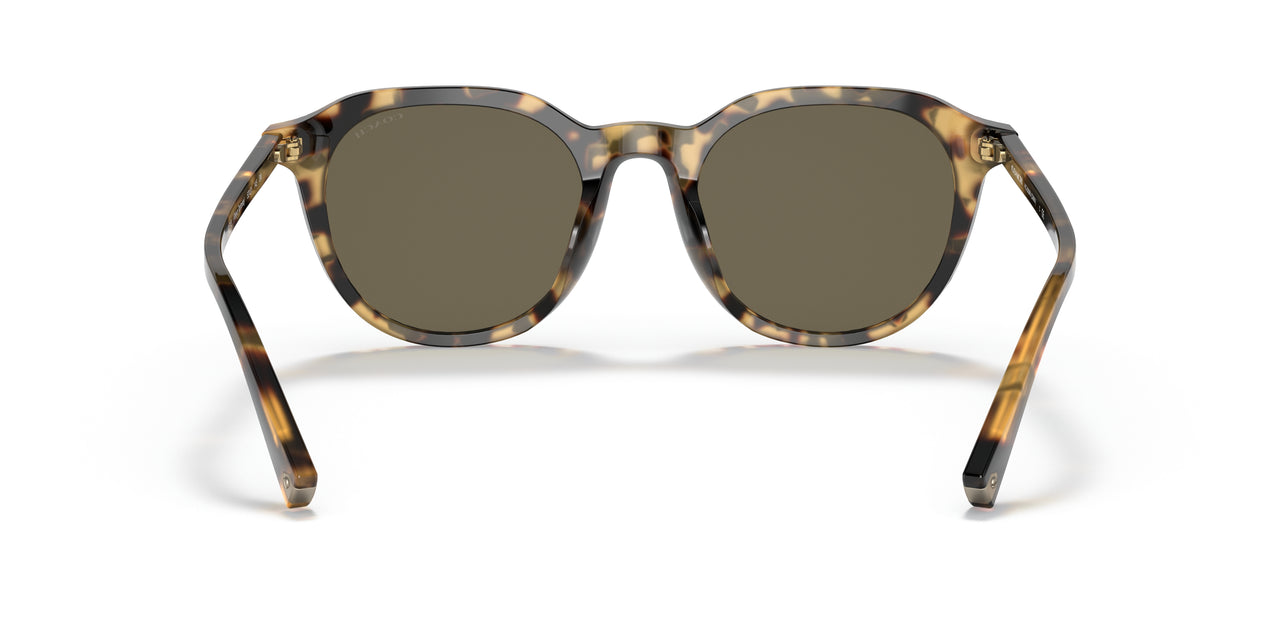 51713 - Havana - Dark Brown Solid