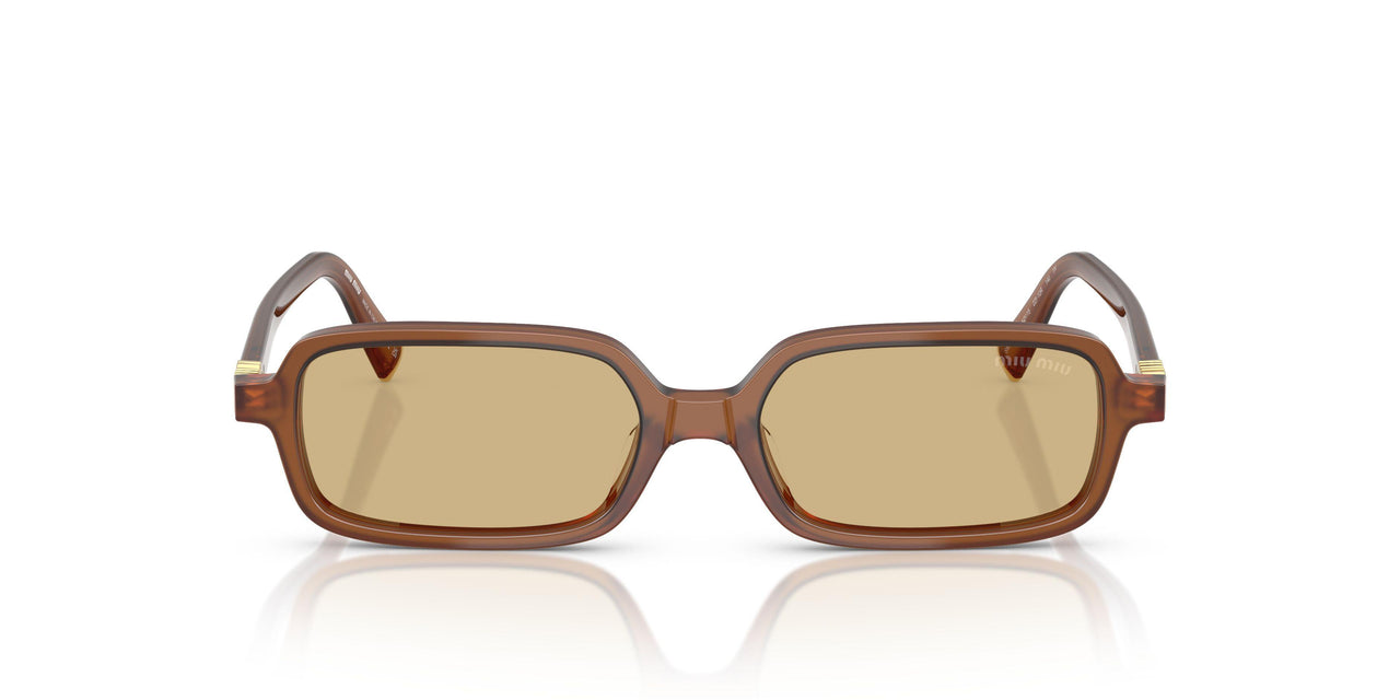 22I10R - Brown - Yellow