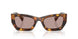 14L20I - Tortoise - Light Purple Brown