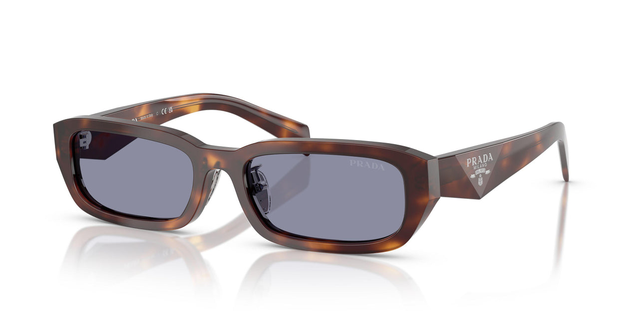 15W03N - Tortoise - Grey